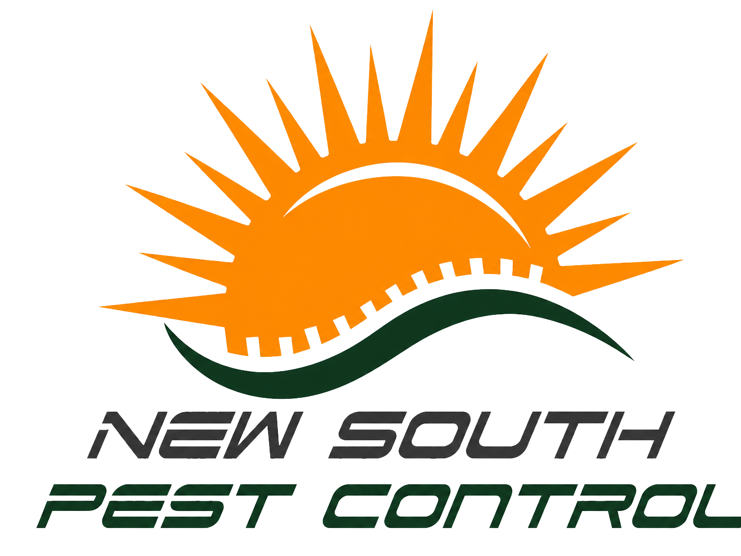 NewSouth_logo